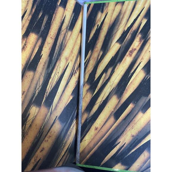 Harcourt Science: 2005 Student Edition Grade 3 Physical Science HC Text Book - Picture 11 of 12